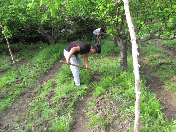 2013艺术节、运动会、寻找身边的张莉丽 147.jpg