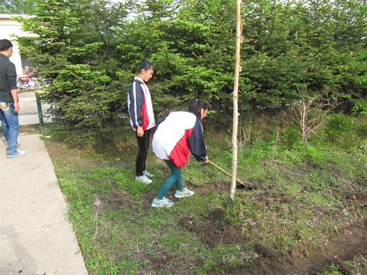 2013艺术节、运动会、寻找身边的张莉丽 144.jpg