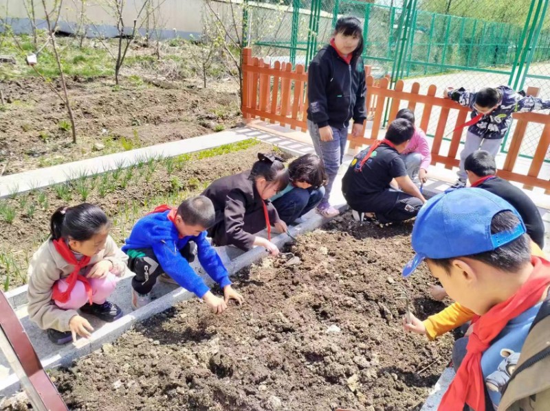 微信图片_202405101231011.jpg