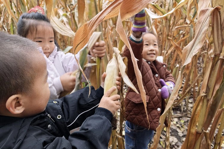 IMG_20251016_093159 (1).jpg