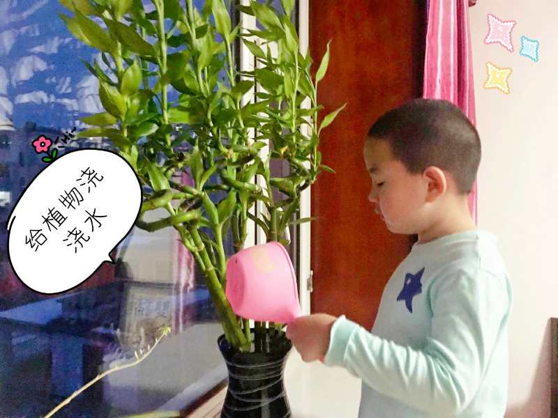 1583856150_5817_52291.jpg 1583856150_5817_52291.jpg