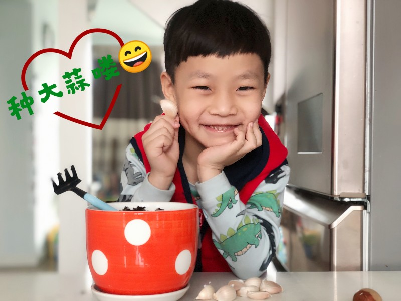 1583856154_2033_59461.jpg 1583856154_2033_59461.jpg