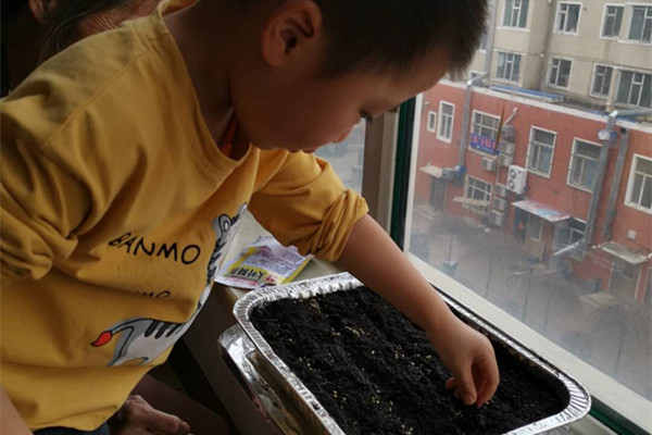 1586910020_728_30283.jpg 3 认真播种.jpg