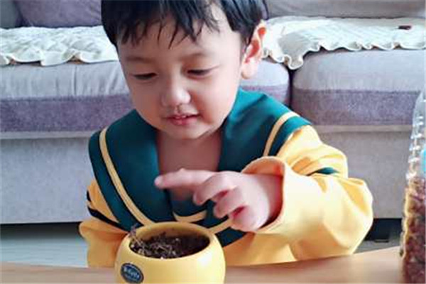 1586910042_7445_74487.jpg 4 种子快快发芽.jpg