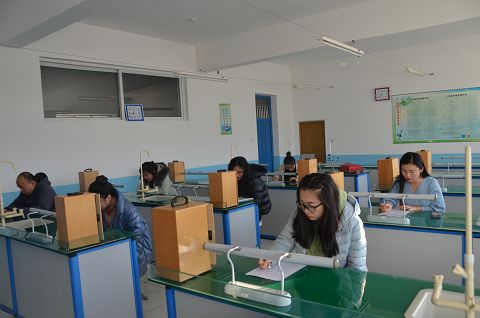 1604447909_304_98122.jpg image