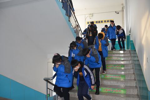 1608853510_1392_46592.jpg image