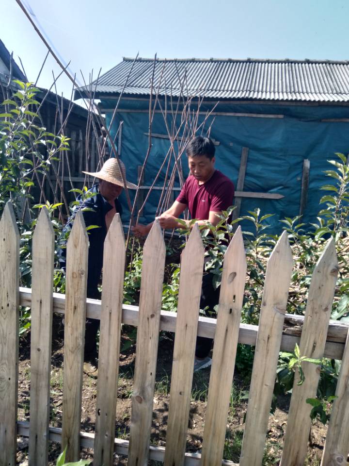 1609290559_4879_67355.jpg 1609290559_4879_67355.jpg