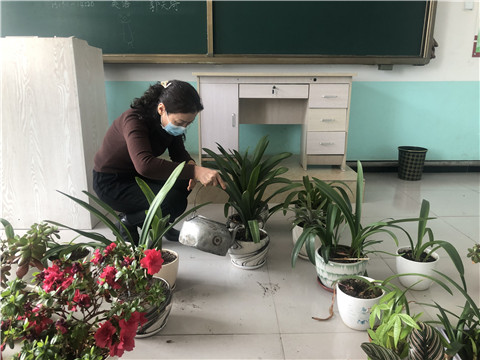 1610966408_4331_52631.jpg image