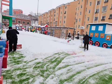 1614560572_8397_17811.jpg image