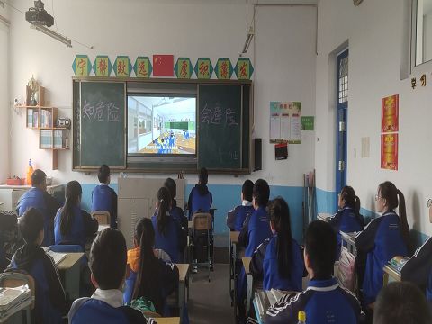 1617236801_9513_69499.jpg image