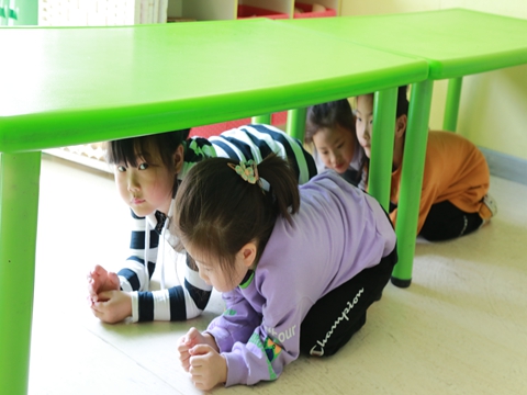 1619056279_11_69066.jpg image