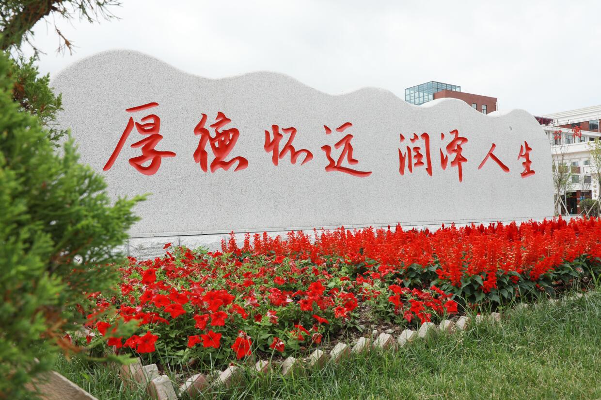 图片1