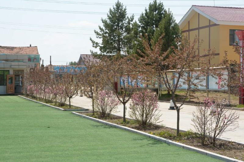 1620976325_714_45447.jpg 1620976325_714_45447.jpg