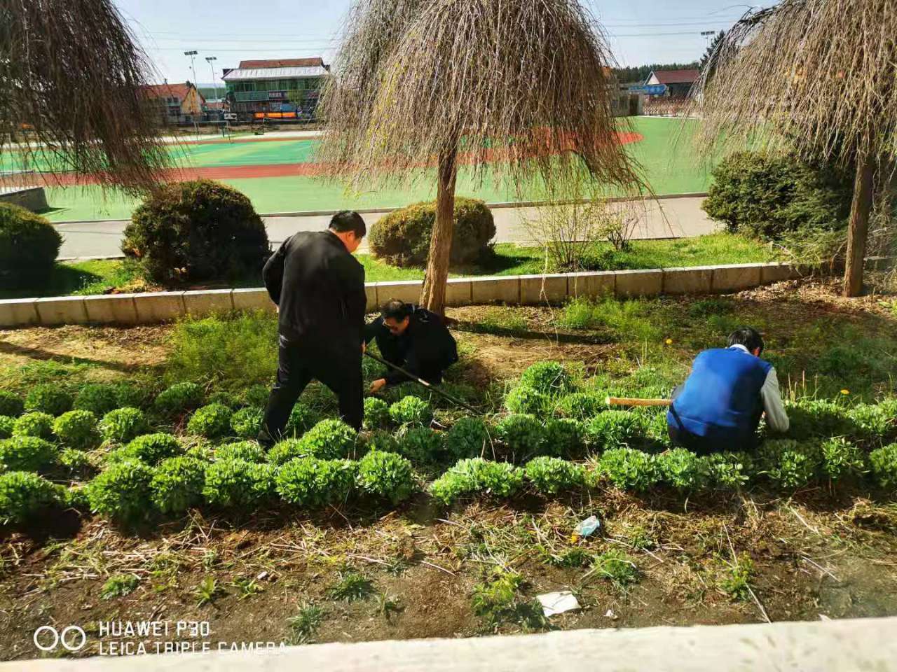 1620976332_5535_16362.jpg 1620976332_5535_16362.jpg