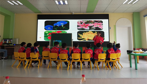图片1