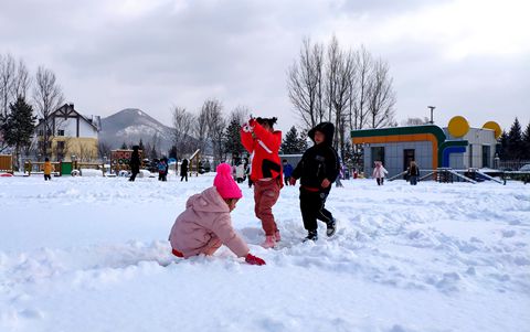 1637554186_2993_76745.jpg image