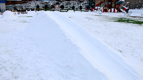 1638520042_8578_59206.jpg image