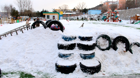 1638520043_5149_77566.jpg image