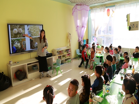 1640304208_5558_35937.jpg image