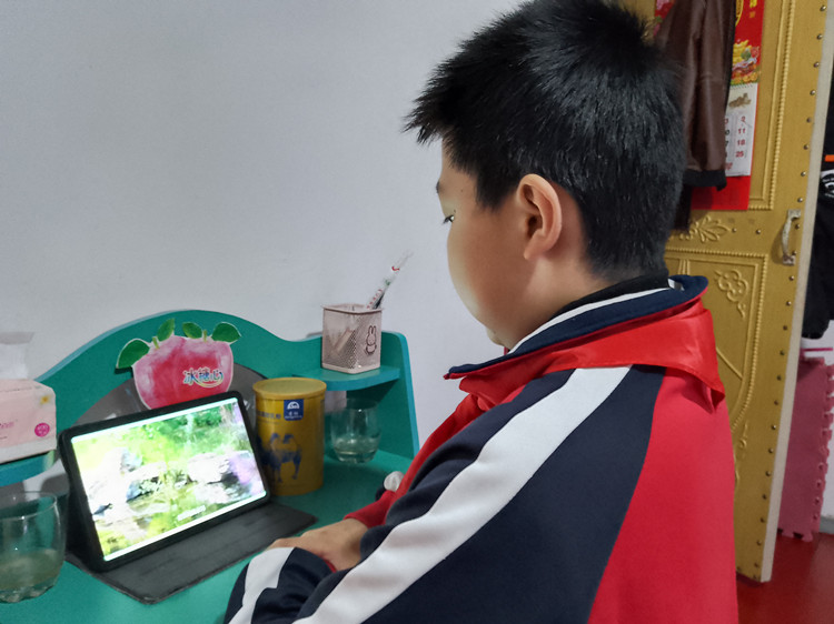 喜迎二十大争做好队员”六一云队课活动 (4)_副本.jpg