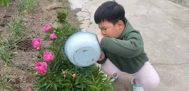 幼儿为植物浇水_副本.jpg