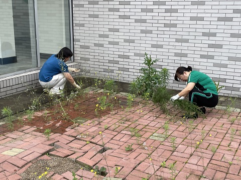 1658385386_2521_24419.jpg 1658385386_2521_24419.jpg