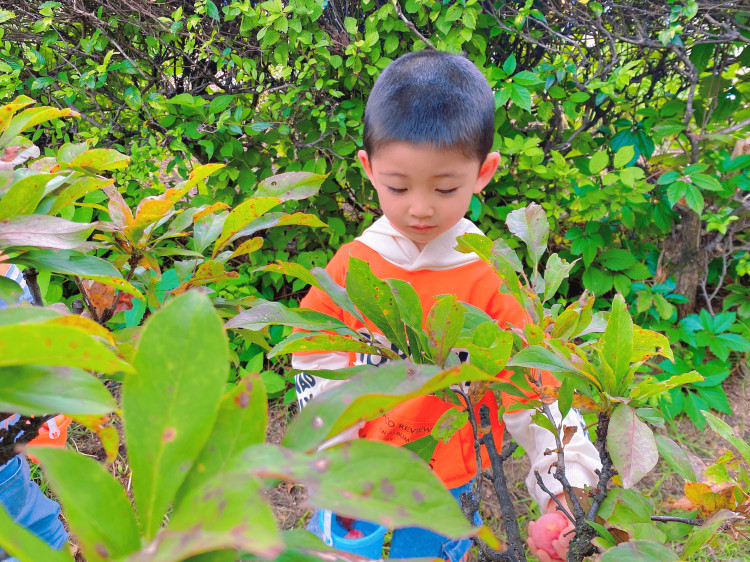 1661840158_3681_64870.jpg 1661840158_3681_64870.jpg