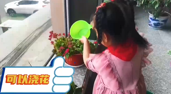 爱绿护绿.png