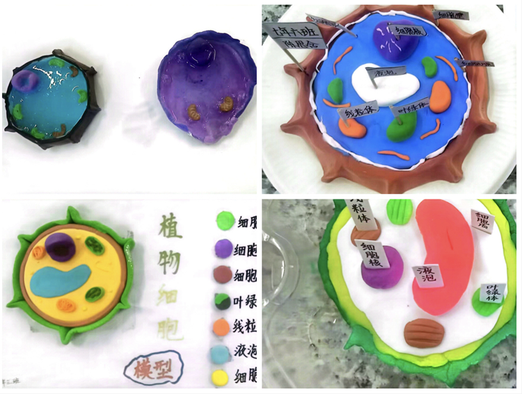 1666573378_1665_99537.png 合2.PNG