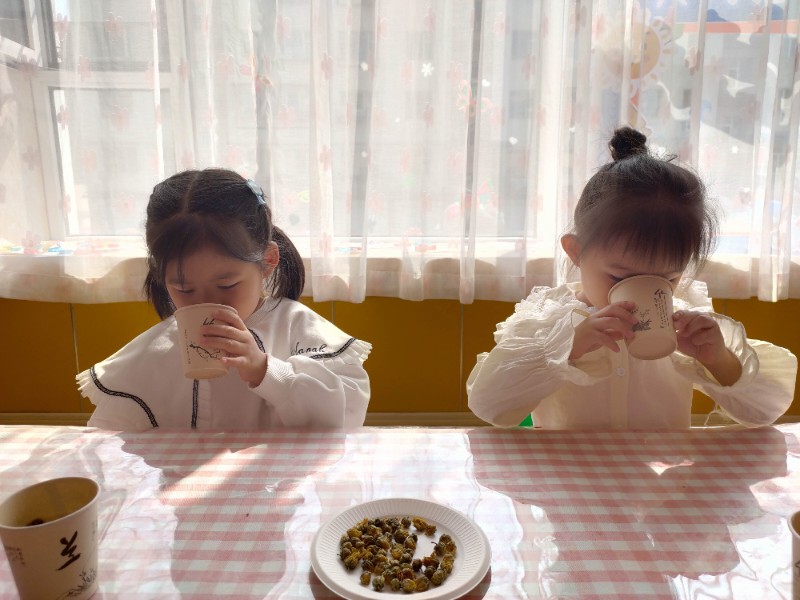 饮菊花茶.jpg