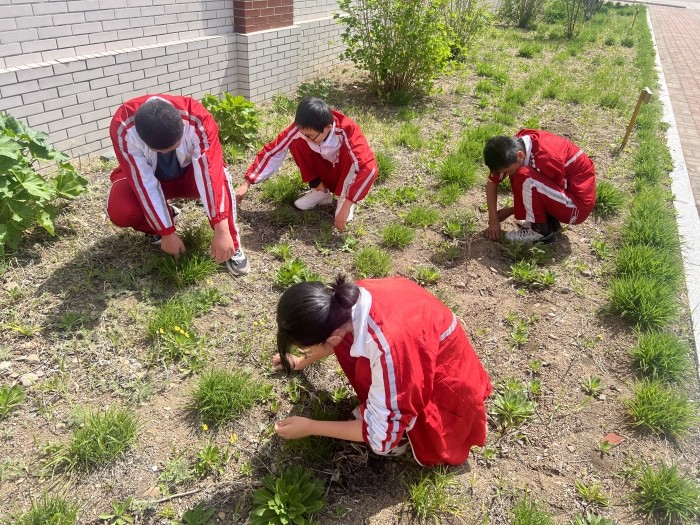 校园绿化 (4).jpg