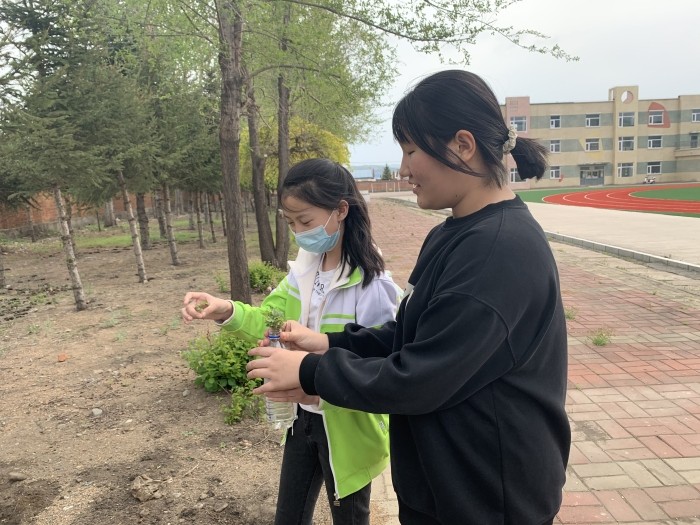 校园绿化 (2).jpg