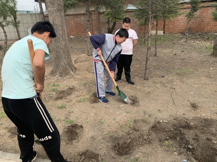 校园绿化 (3).jpg