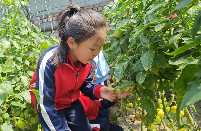 课题引领重实践 以劳促教育新风 (5).jpg