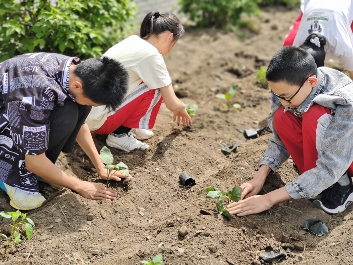 学生种植照片2.jpg