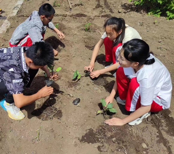 劳动基地-菜园种菜 (2).jpg