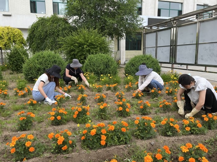 清除杂草 美化校园”活动 (4).JPG