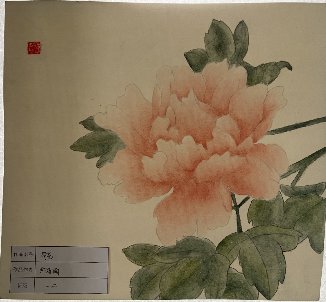 图片1