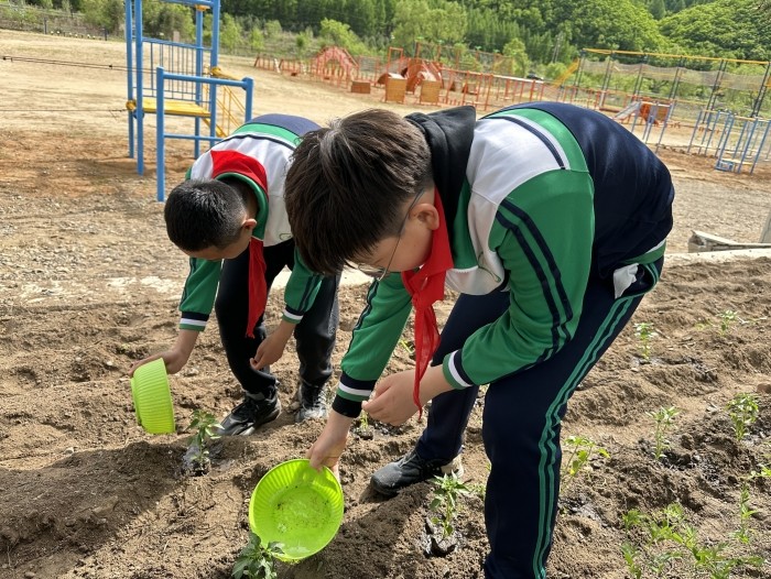 “万象‘耕’新 ‘植’得期待”农耕种植实践体验活动 (3).jpg