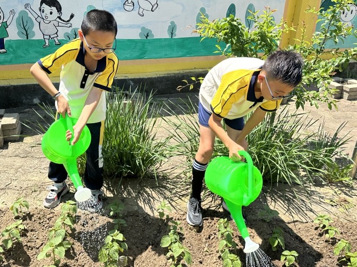 1718955470_1201_39558.jpg 45253f96b5a9e6aa909ad00bda24619.jpg