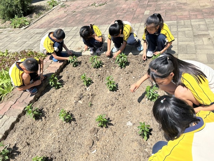 1718955498_4108_75029.jpg 88376a006e81ed3ff361b90eeae299f.jpg