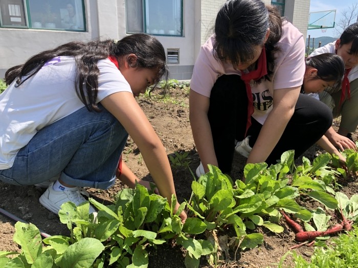 1719569023_6519_85633.jpg 28198d9bf48488087bf300997c00e1a.jpg