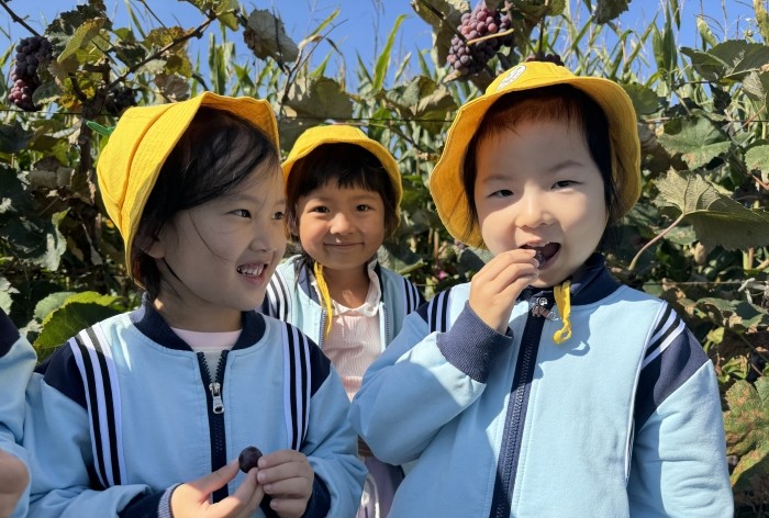 1727335603_1721_82044.jpg 1a28fc4c69c4d6abfd620d9657e9af9.jpg