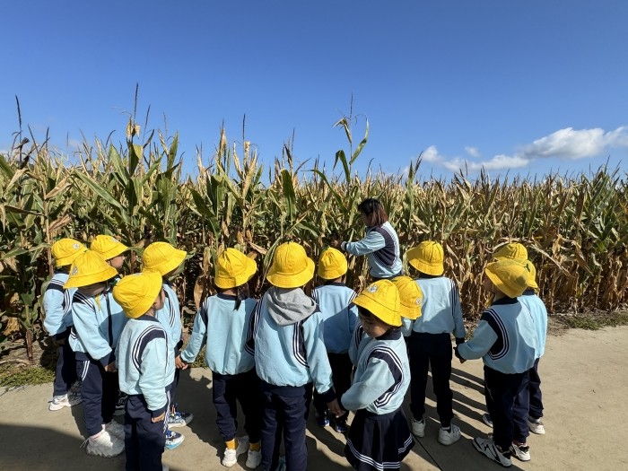 1727335615_4814_26881.jpg 3bb9e28f94dbbdb6a7943e5e93d998a.jpg