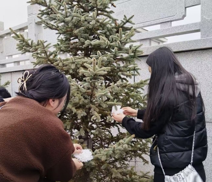 1743579257_2666_68001.jpg e19186ec18fcf917c6ebe0622cccd58.jpg